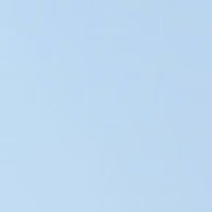 Meet your Posher, Amelia